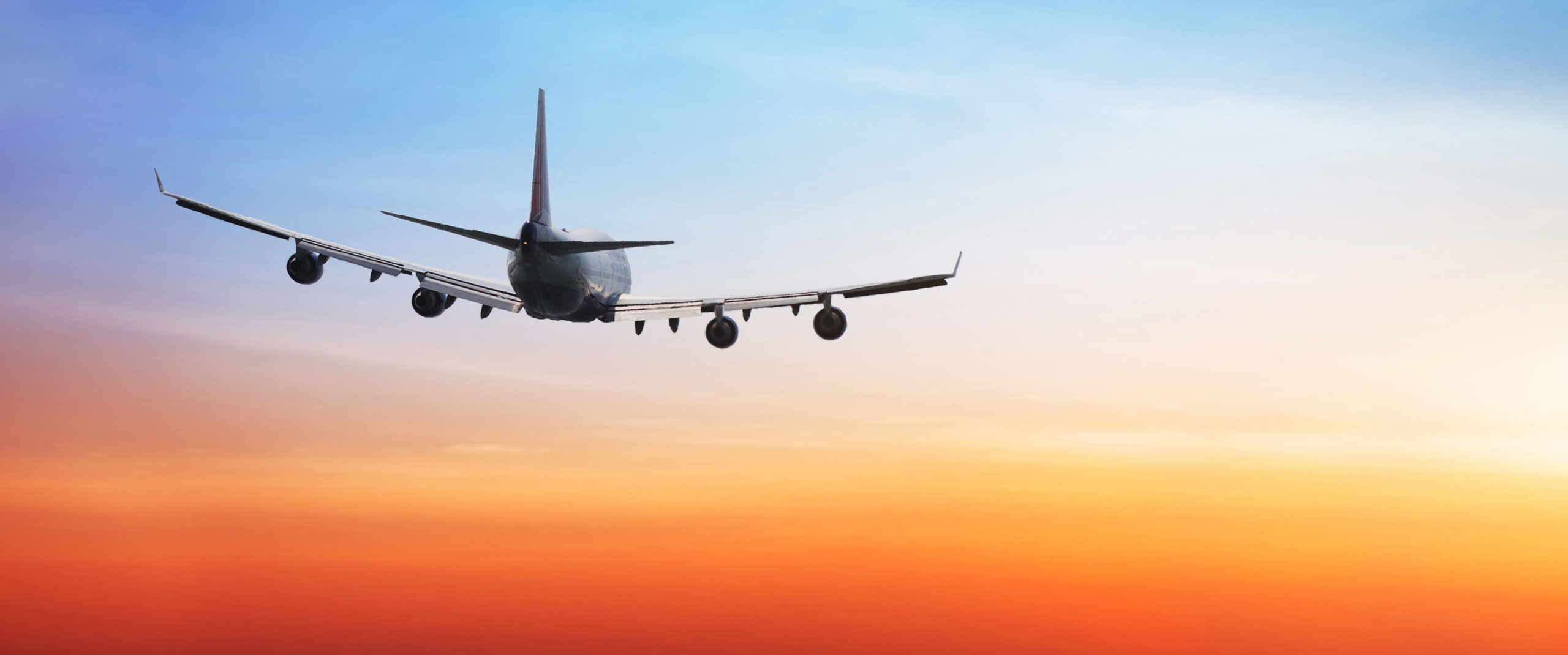 Air Travel Booking and Ticketing