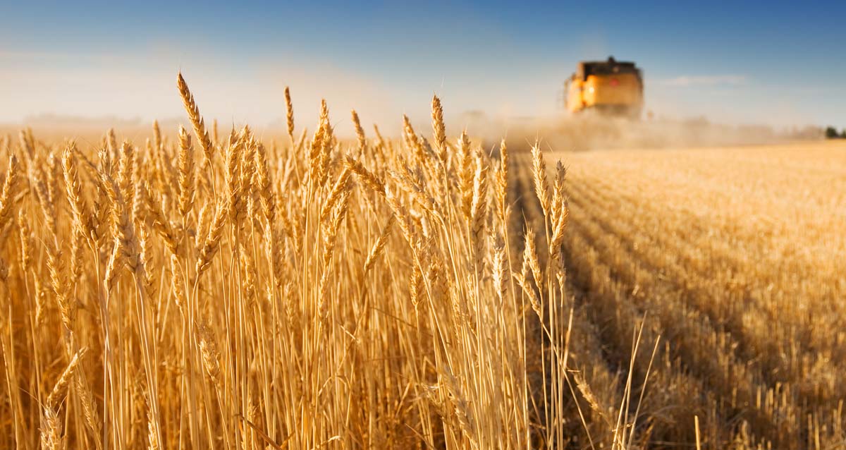 Bayer on Building TraceHarvest and the “Health for all, hunger for none” vision